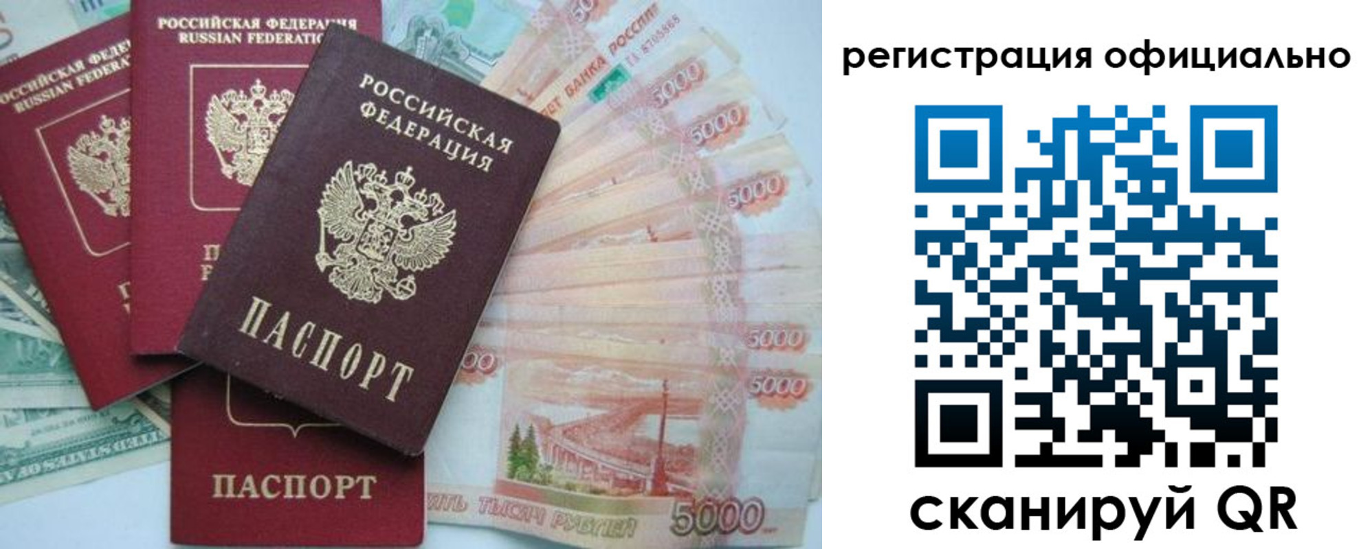 прописка для школы в Новодвинске